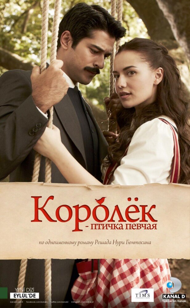 Королек – птичка певчая (2013 - 2014)